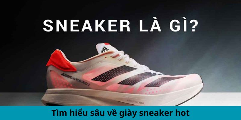 Tìm hiểu sâu về giày sneaker hot